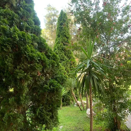 Mani Guest house Durres